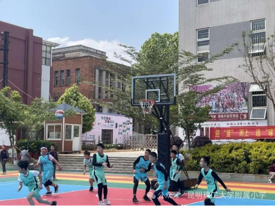 女性篮球爱好者如何用智能球提升体能和技巧_2